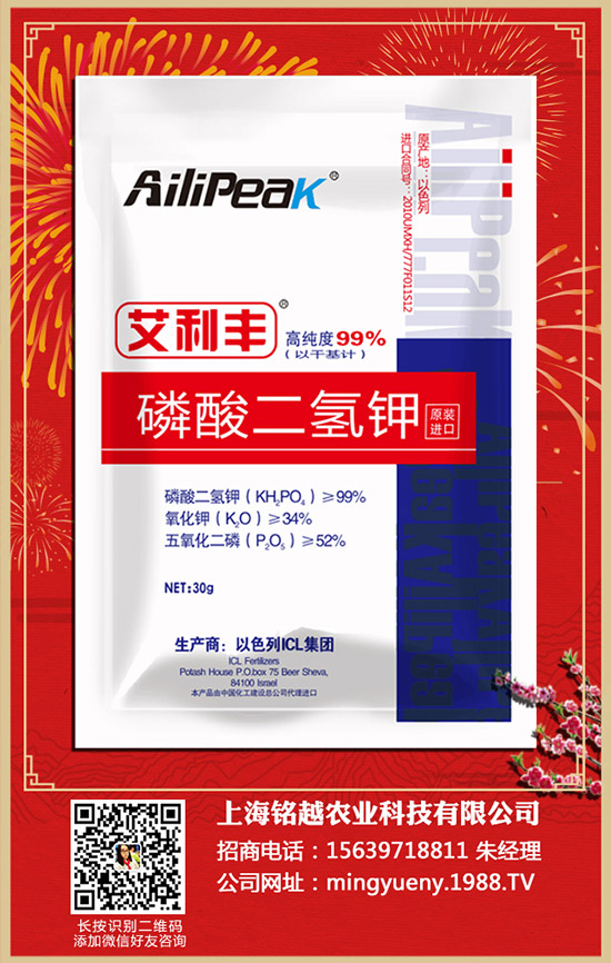 紫薯如何種植，紫薯種植方法和注意事項！