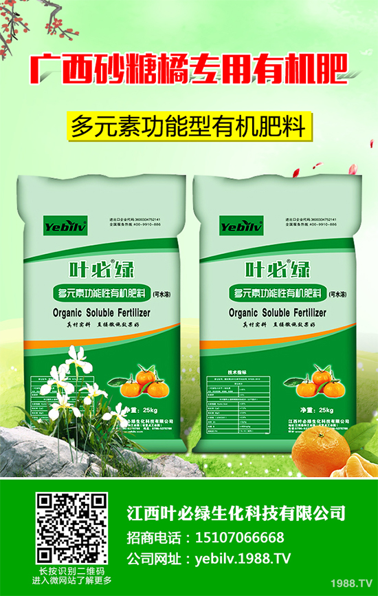     �㶹���ճ������г�Ҋ���߲����I�B(y��ng)�r(ji��)ֵ�S���������˂�ϲ�ۡ����㶹�Nֲ�^�����y���(hu��)���F(xi��n)һЩ���������u�������㶹�P���Ƿǳ���Ҋ��һ�N����������r(sh��)���ξ͕�(hu��)��(d��o)�º��m����(y��n)�؜p�a(ch��n)����ô���㶹�P������ЩΣ���Y������ԓ��η�����