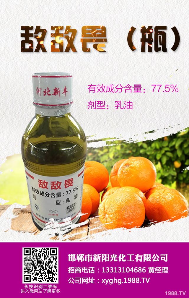 ���ټt֩����ô���������ټt֩����Ч���μ���