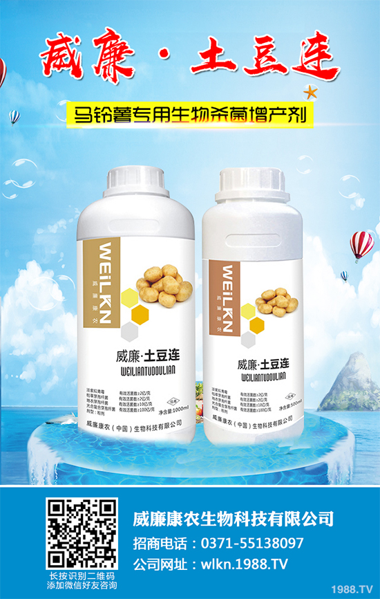 �㶹����������ЩΣ�����F(xi��n)��ԓ���ӷ������㶹���������η���