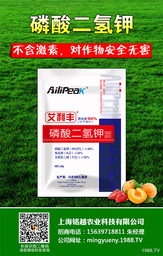 �㶹����������ЩΣ�����F(xi��n)��ԓ���ӷ��Σ��㶹���������η���