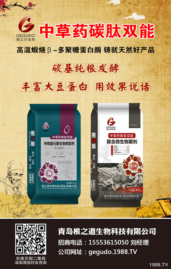     ����ʮ����ʲô����ע�����(xi��ng)�����ӹ���������10�¹���ָ��(d��o)���h��