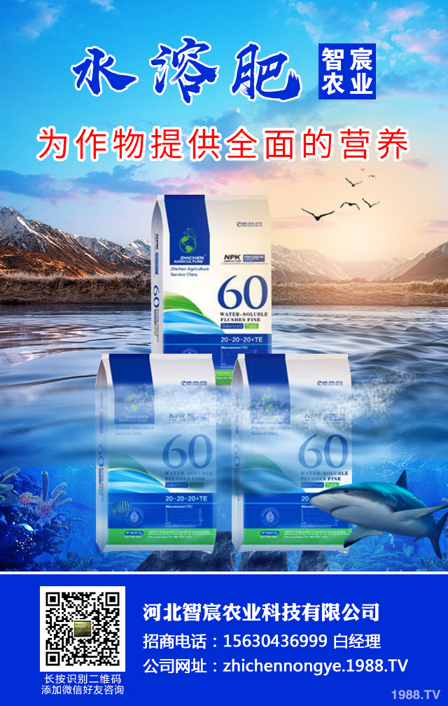 ��������������η����������綬���������g(sh��)