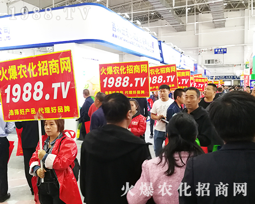     2019��ʮ�����L��ֲ�������r(n��ng)���˰���ͦ��