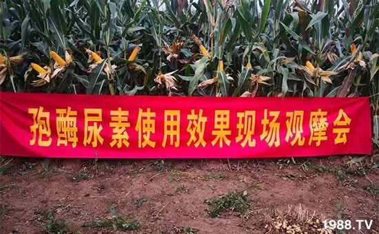 �ٿ���С�����a(ch��n)1471�����pø����ȫ������(j��)�����߮a(ch��n)������(d��ng)֮�o����