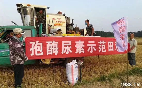 �ٿ���С�����a(ch��n)1471��pø����ȫ������(j��)�����߮a(ch��n)������(d��ng)֮�o����