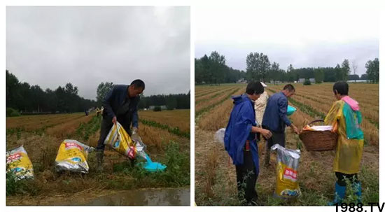 �ٿ���С�����a(ch��n)1471��pø����ȫ������(j��)�����߮a(ch��n)������(d��ng)֮�o����