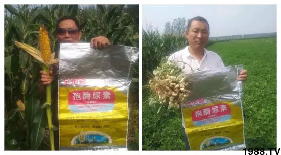 �ٿ���С�����a(ch��n)1471�����pø����ȫ������(j��)�����߮a(ch��n)������(d��ng)֮�o����