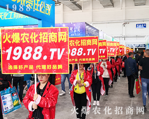 2019�L��ֲ���������r(n��ng)���W(w��ng)�����ƏV�ݲ��ɓ���