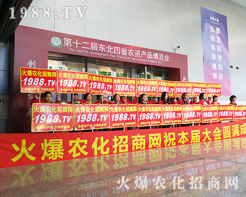 ��ʮ�����L��ֲ������1988.TV������ݿ�ǰ����