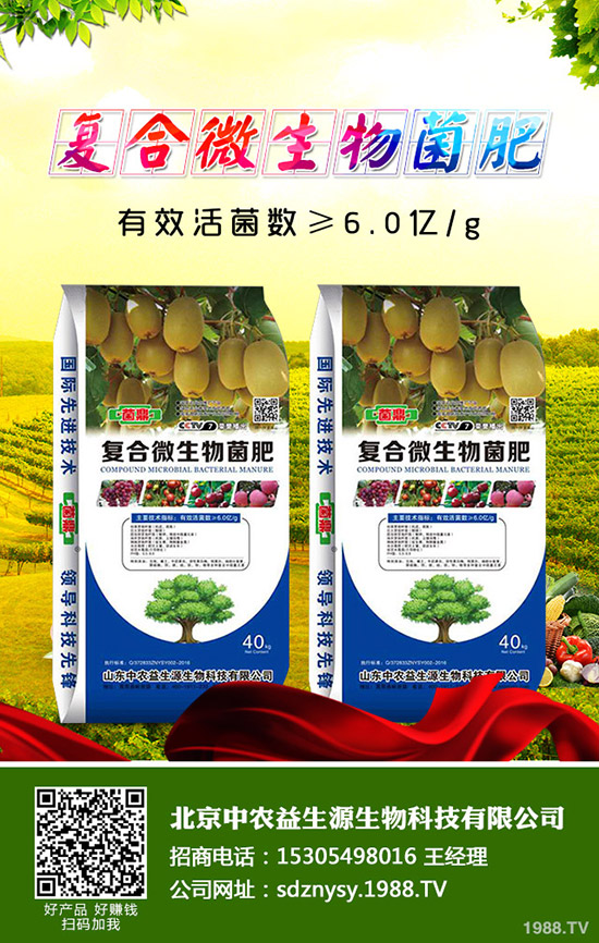     ���Շ���(n��i)������������(b��o)�r(ji��)������������(b��o)��