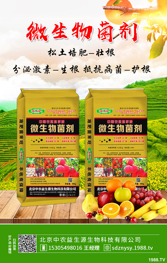     2019��10�µ�һ��?ch��)?gu��)��(n��i)������Ј�(ch��ng)����r(ji��)��C���u(p��ng)��