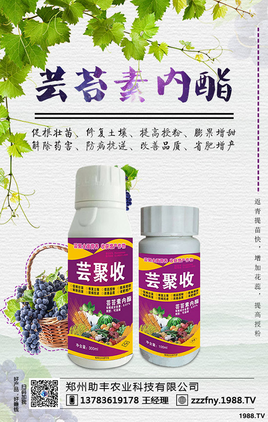 �J�������ժ�����J����ժ����ʲô��̎��