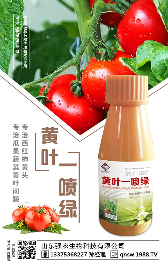 ���}�����N�r(sh��)�g�����}���Nֲ��Ҫע����Щ���(xi��ng)��