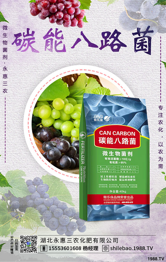     2019-9-7����⛷ʃr������ӑB(t��i)�u���������Xһ����