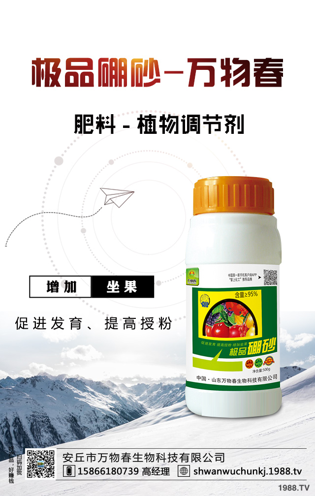 油橄欖怎么修剪？常見油橄欖修剪方法