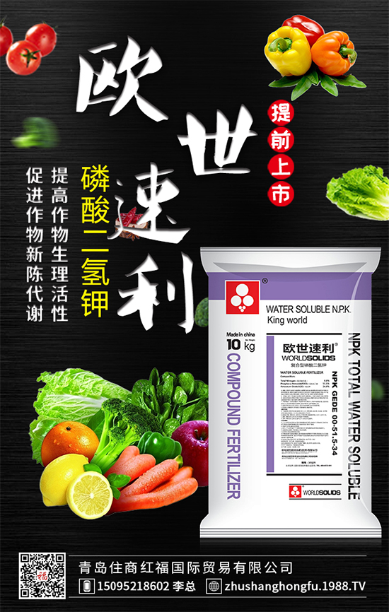 �t���������ô׷�ʺ����t��K�������ʩ�ʷ�����