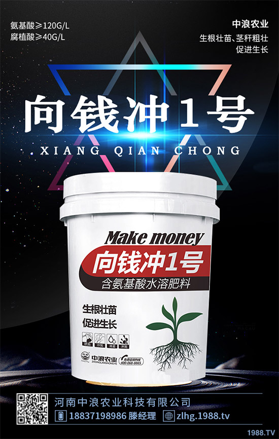 ¶�ؾ��Ĳ�ʲô�r(sh��)��Nֲ��¶�ؾ��Ĳ˷Nֲ���g(sh��)��ȫ