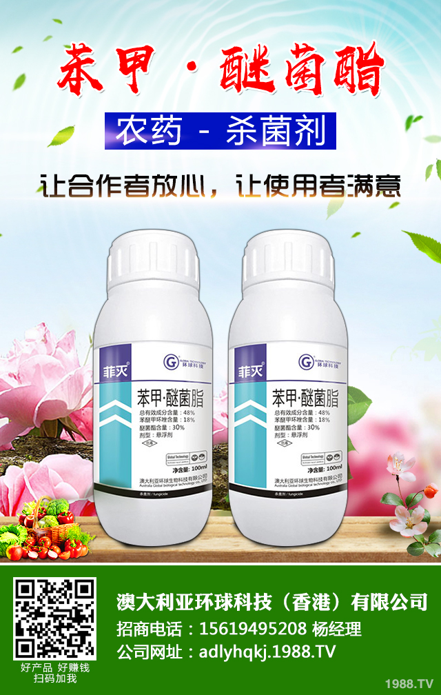 �O����֦�ɲ�����ô�k�������O�������N֦�ɲ���