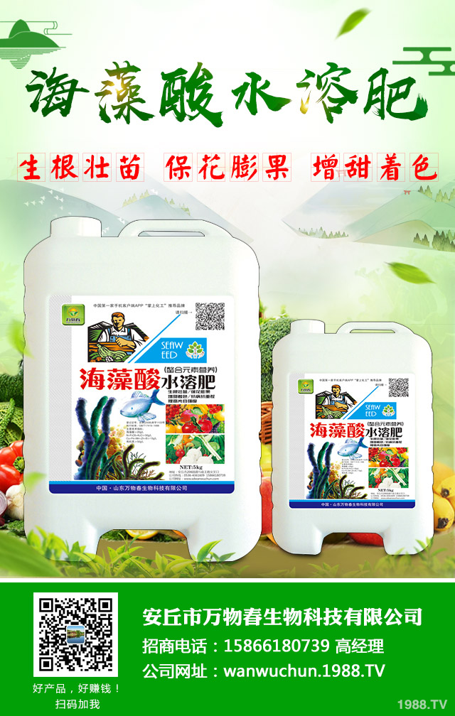 �O����֦�ɲ�����ô�k�������O�������N֦�ɲ���