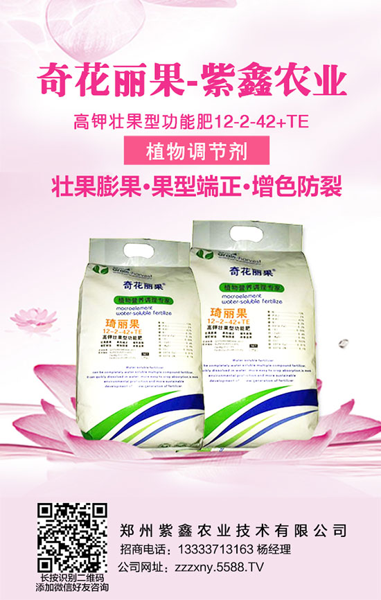 �S��ʩ�ʕr�������������֪���᣿