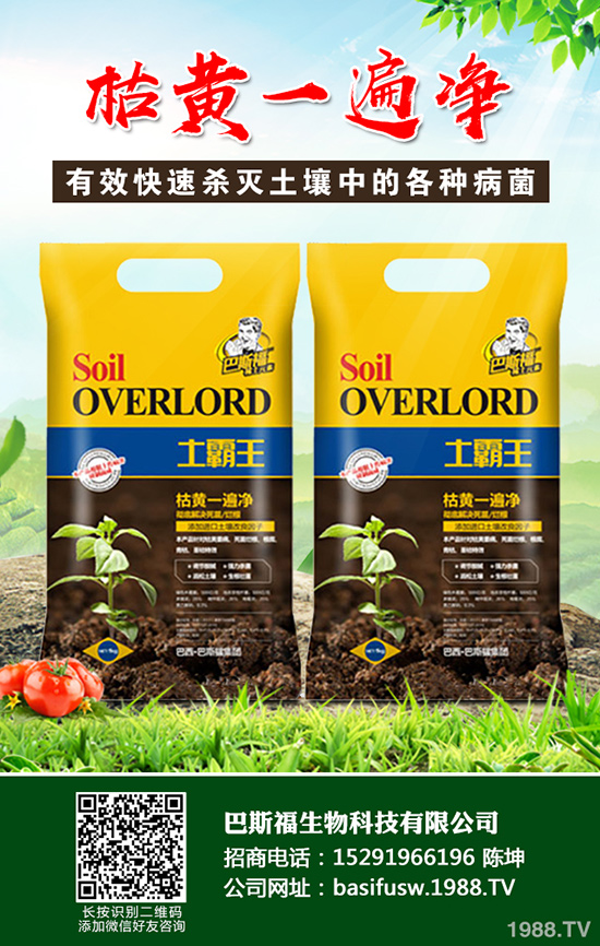 ���Sԓ��ηNֲ�����S�ĸ�Ч���༼�g(sh��)����Щ��