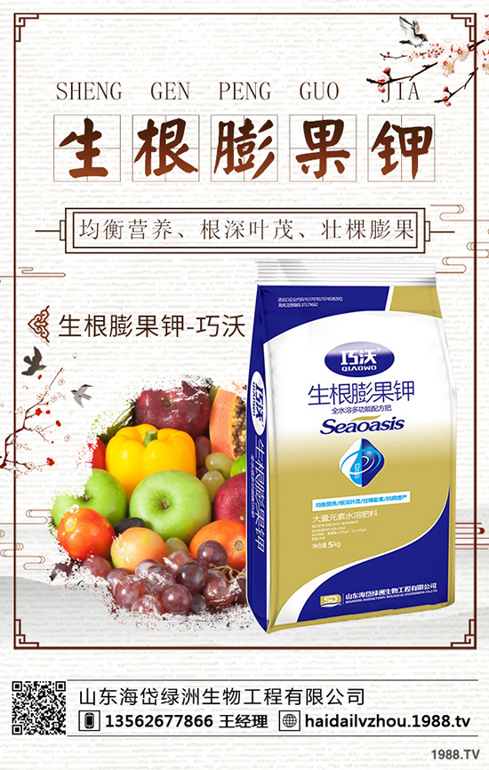     ����̽�q�D�y��2020��1��13�ո��؅^(q��)�����������S��rһ�[