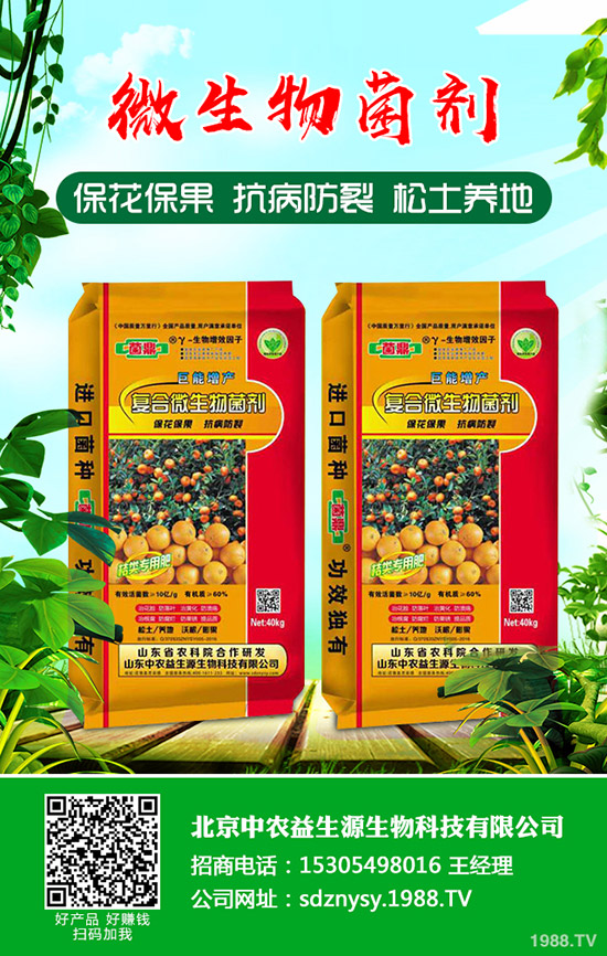     �R������(ji��)����(f��)�Ϸ����������»�����������(f��)�Ϸʈ�r2020-1-23