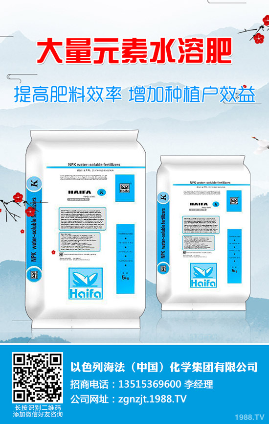     2020����(ji��)���g��⛷���������(sh��)��1��31�ս���⛷ʃr(ji��)�����(b��o)��