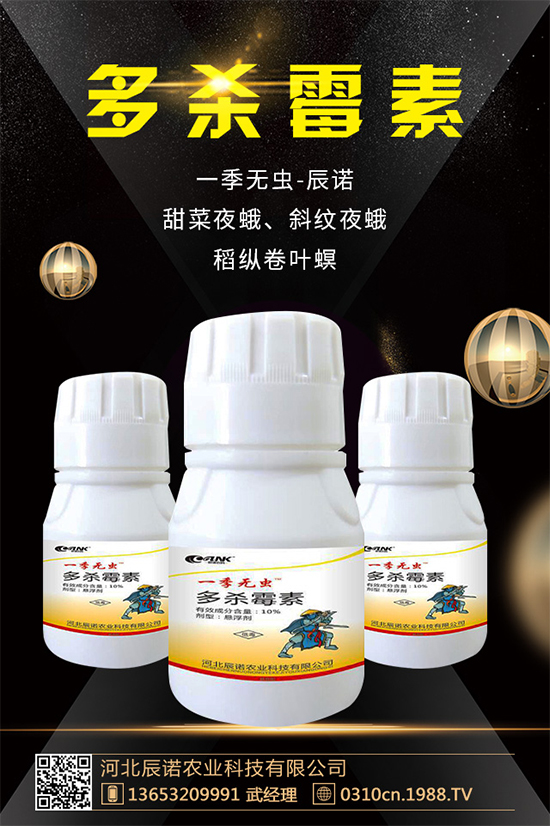     �������r(n��ng)ˎ�r(ji��)��