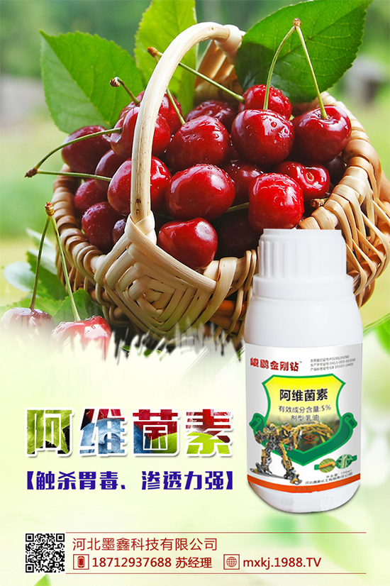     �������r(n��ng)ˎ�r��