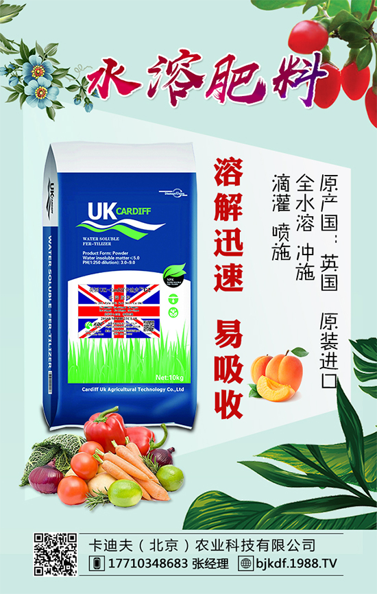 �S����Ҫ��ô�Nֲ���S���ˌ�(du��)�h(hu��n)���l����Ҫ����