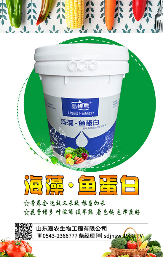 黃花菜什么季節(jié)種植好？2020年黃花菜種植前景及利潤分析！