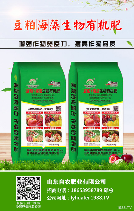 �۲����߲�����ЩΣ���Y�����۲����߲��İY����δ�ʩ