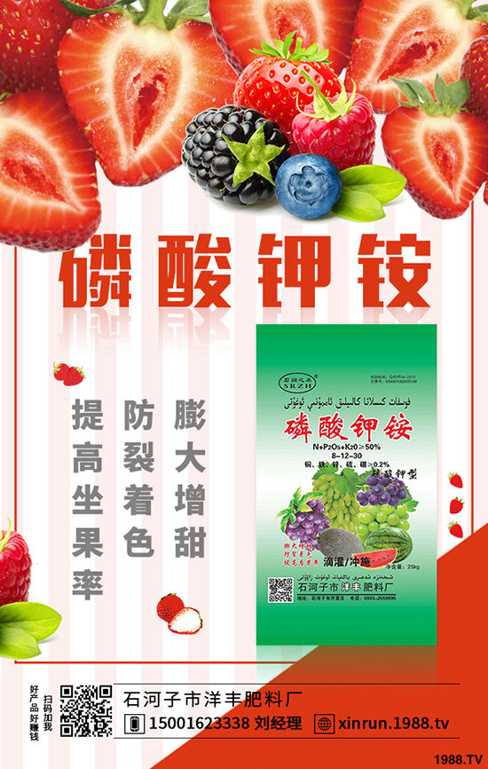 榨菜要高產(chǎn)，合理種植是關(guān)鍵！榨菜高產(chǎn)栽培看這里！