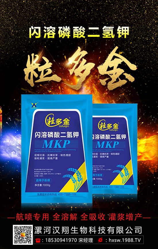 ������ηNֲ�θ߮a(ch��n)���������ӵĿƌW(xu��)�Nֲ������