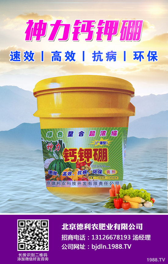 2020�괺��(ji��)ǰ⛷ʃr(ji��)���ϝq������2020-1-17��⛷������߄ݷ�����