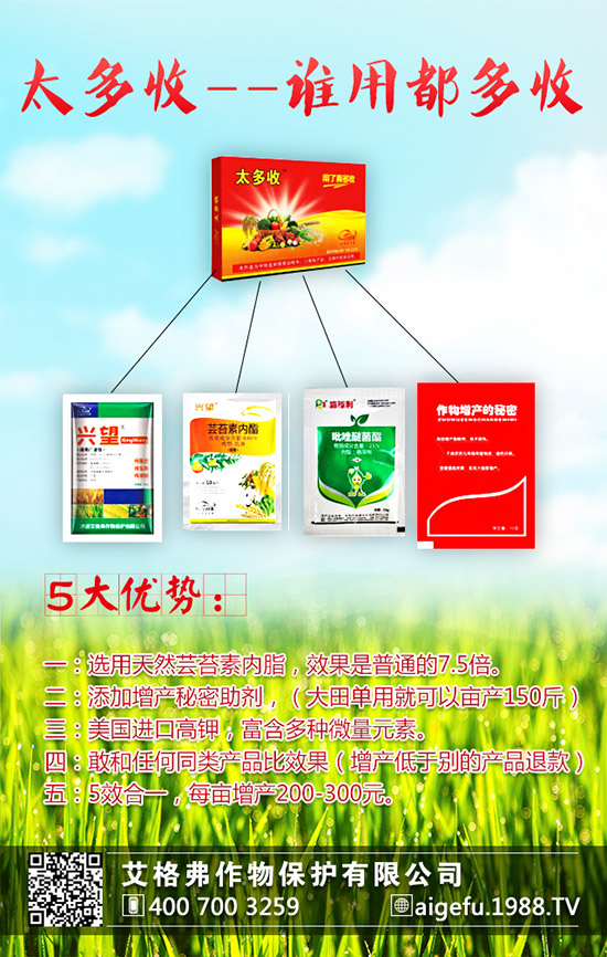 ���۵ķNֲҪ������Щ�����۵ķNֲҪ�c(di��n)��