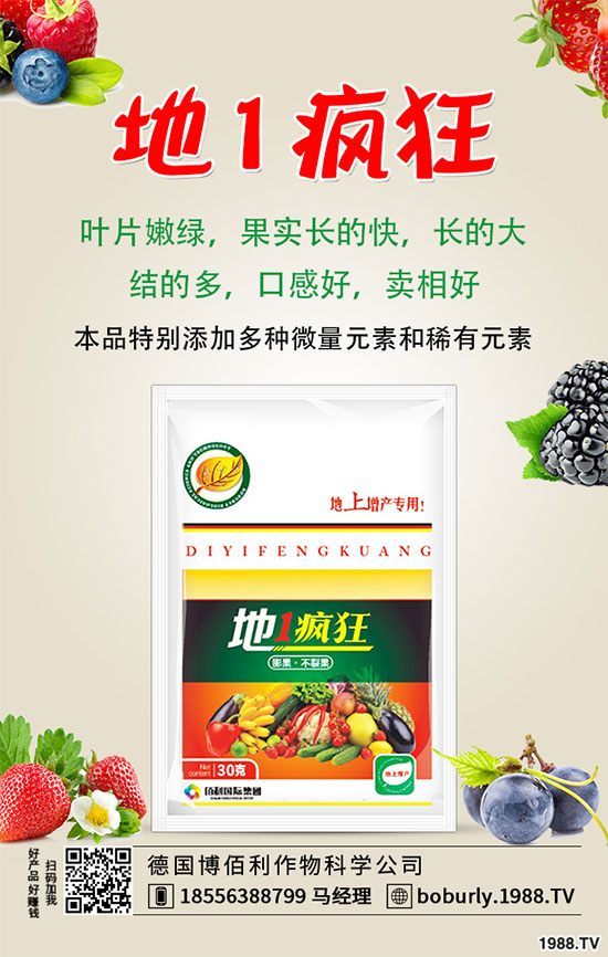 �����仨�����ʲôԭ������������������ʩ��