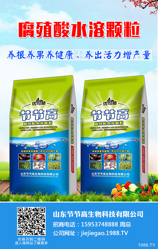     2020��1��2�ս����������س��S������(b��o)�r(ji��)һ�[��