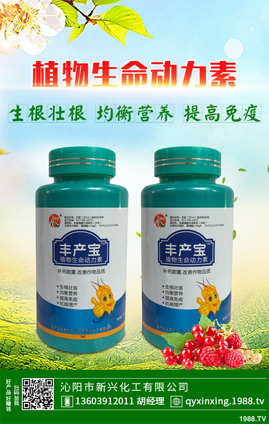 ���Ӳ��ܷN�ô�ײ�����ײ˸߮a(ch��n)�Nֲ���g(sh��)Ҫ�c