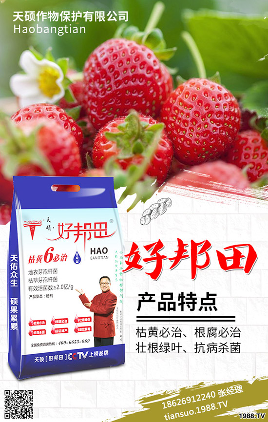 2020���r(n��ng)��Nֲʲôˮ��ٍ�X����Щ�N����Ʒ�N���^����