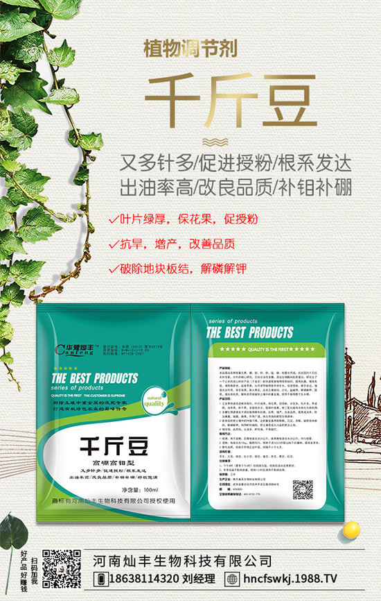     ������@����r������2020-1-7���ն��@�r�������A�y��