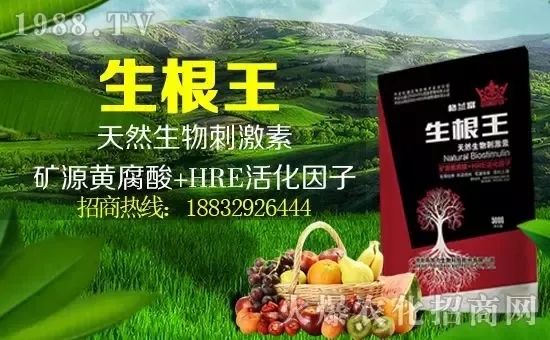 С���q�r�����e��r���^2500Ԫ/����