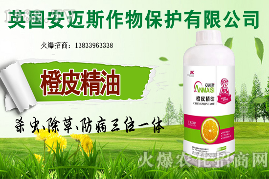 10�·Nֲ��Щ�߲˸����m�����g����Ҫ���cץ���Ď��c��