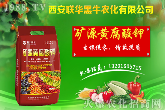 �＾����ԓ��ι������＾������푪(y��ng)������Ĵ��`�^(q��)��