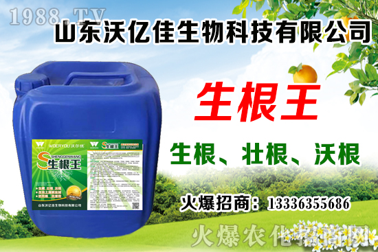 Ӱ푲�ݮ��ѿ�ֻ���������Щ����ݮ��ѿ�ֻ����c��ֲ����Ҫ�c(di��n)��