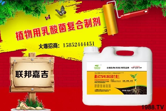 ���[���L(zh��ng)�l������Щ�����[������c(di��n)���＾������