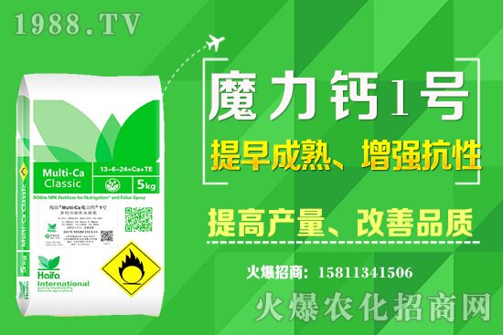 ʮ����Ѯ�m�ϷNֲʲô��ˎ������Щ��ˎ��ٍ�X�������