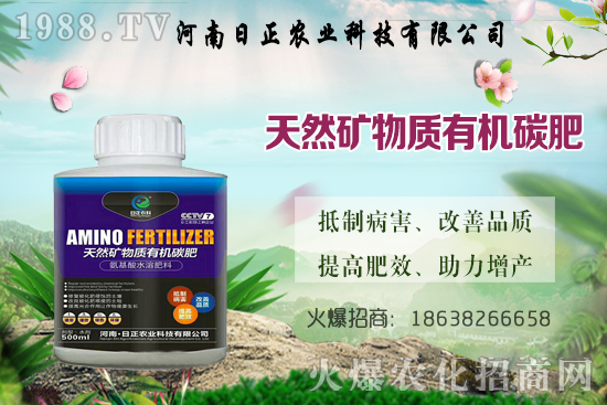 ���@������ѕr�g�ǺΕr���Д���(bi��o)��(zh��n)��ʲô�����@����ע����헣�